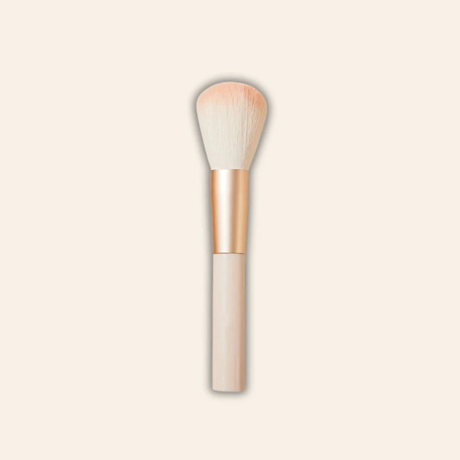 Pennello applicatore